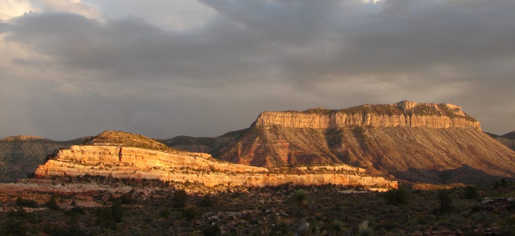 Colorado Plateau Shrublands