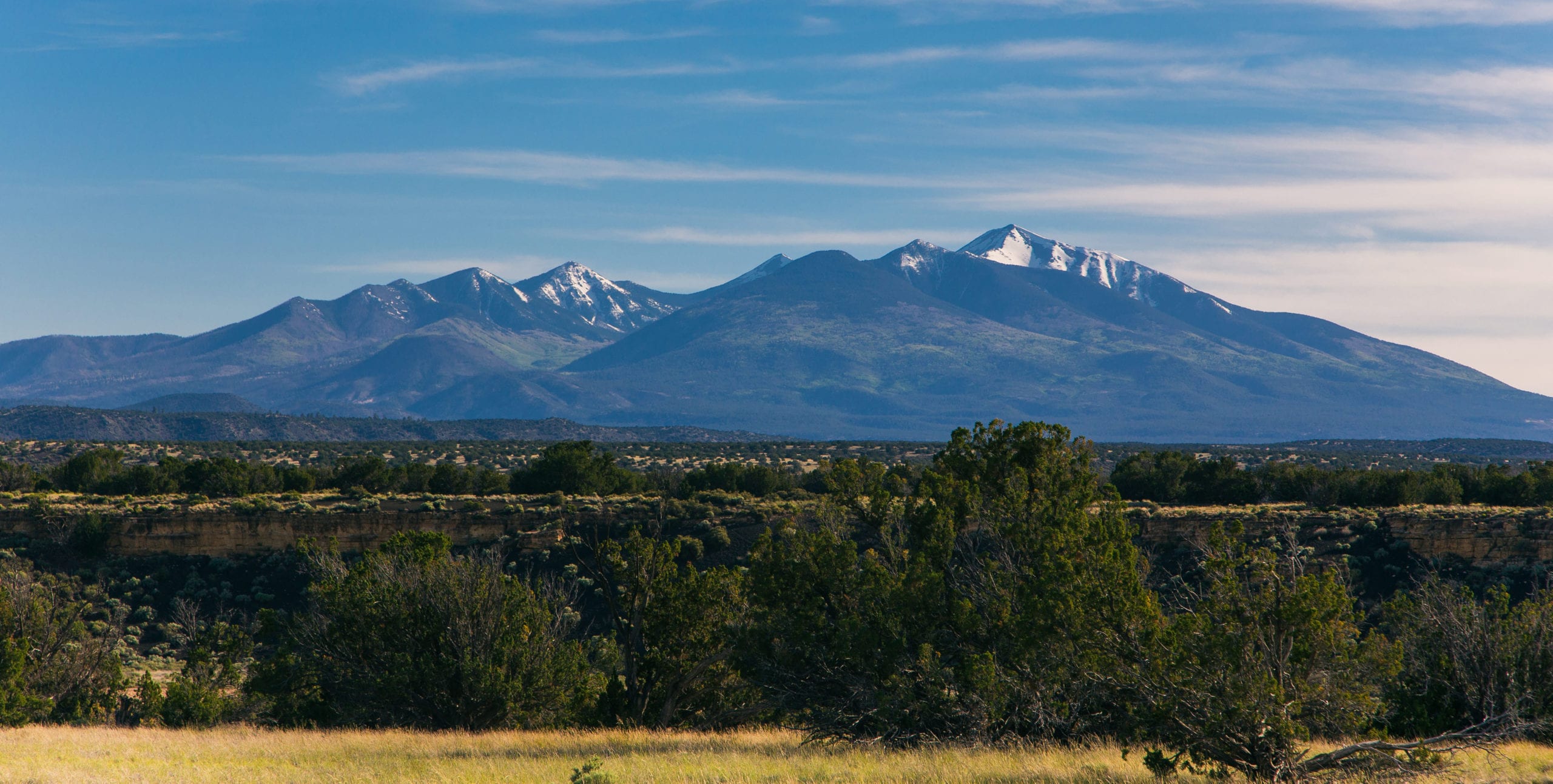 Colorado Plateau Shrublands